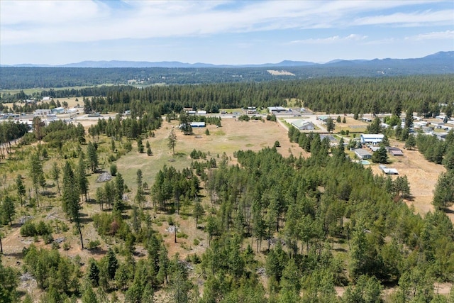 40010 N Newport Hwy, Elk, WA 99009 - drone / aerial view of mountains