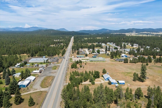 40010 N Newport Hwy, Elk, WA 99009 - view of property location featuring a heavily wooded area and a mountain backdrop
