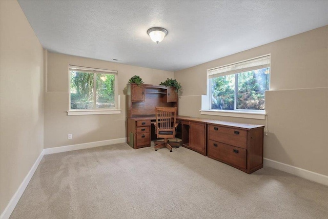 3405 W Kens Ct, Spokane, WA 99208 - office featuring plenty of natural light, light carpet, and a textured ceiling