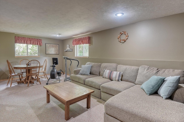 4307 S Apollo St, Spokane, WA 99223 - photo 25
