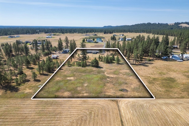 8010 W Melville Rd, Cheney, WA 99004 - photo 45