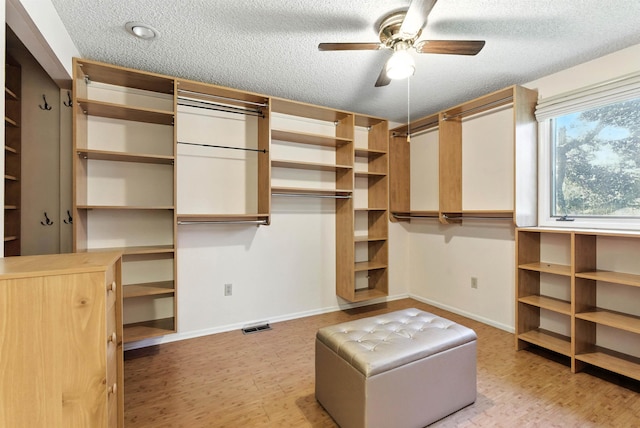 3832 S Cook St, Spokane, WA 99223 - walk in closet with a ceiling fan and light wood finished floors