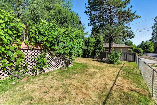 3832 S Cook St, Spokane, WA 99223 - view of yard