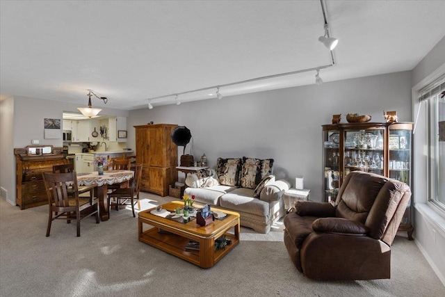 3714 S Alder Cir, Spokane, WA 99223 - living room featuring track lighting and light colored carpet