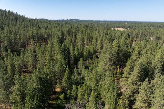 11300BLK S Andrus Rd, Cheney, WA 99004 - photo 11