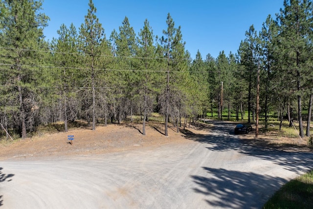 11300BLK S Andrus Rd, Cheney, WA 99004 - photo 3