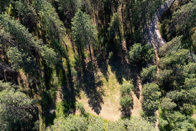 11300BLK S Andrus Rd, Cheney, WA 99004 - photo 10