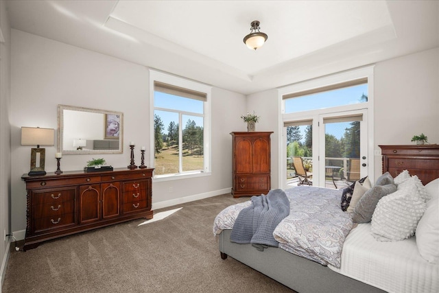 5614 N Thierman Rd, Spokane, WA 99217 - bedroom with access to outside, carpet, and a raised ceiling