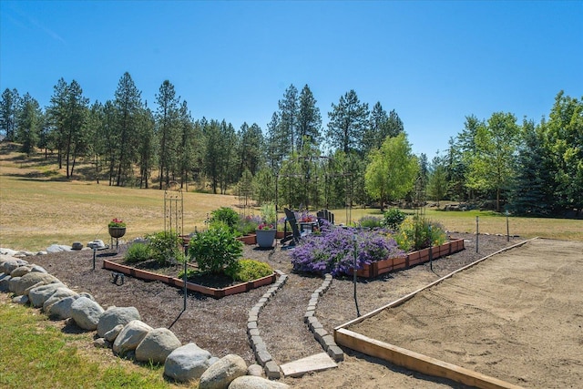 5614 N Thierman Rd, Spokane, WA 99217 - view of green lawn featuring a vegetable garden