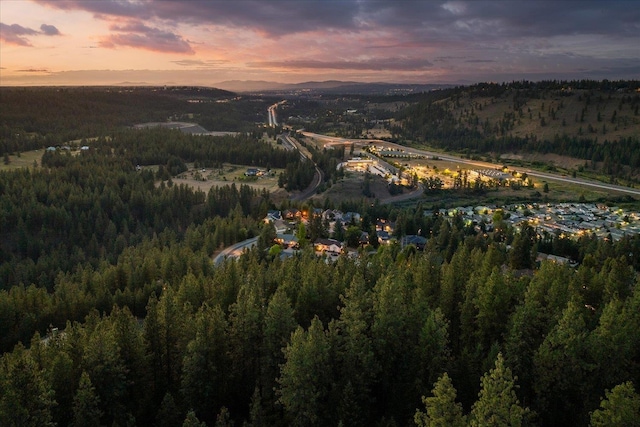 5257 S Falcon Point Ct, Spokane, WA 99224 - aerial view of property and surrounding area with a forest