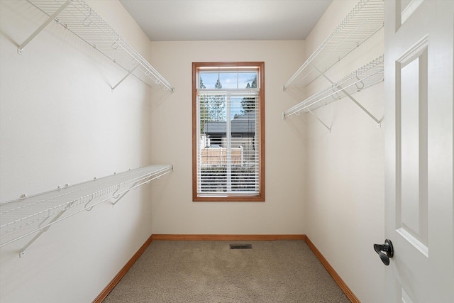 510 E Golden Eagle Ln, Colbert, WA 99005 - photo 10
