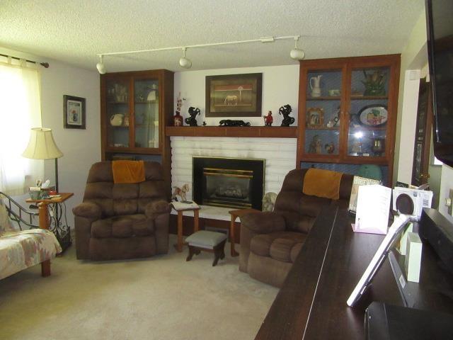 28211 N Cottonwood Rd, Chattaroy, WA 99003 - photo 13