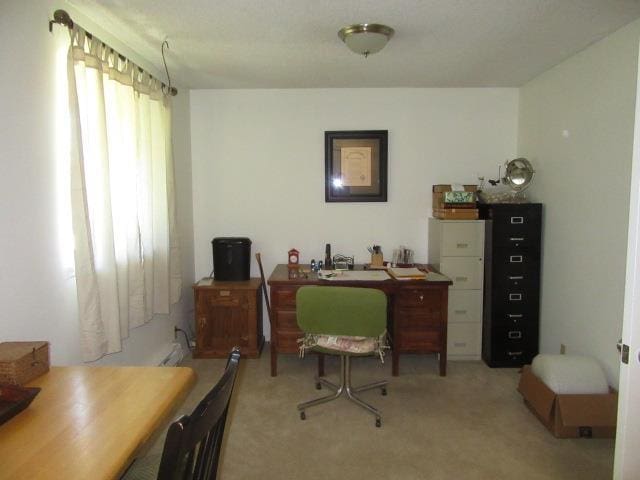 28211 N Cottonwood Rd, Chattaroy, WA 99003 - photo 14