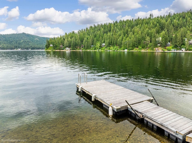 3994 N Cedar Bay Rd Unit 51, Loon Lake, WA 98148 - photo 3