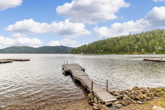 3994 N Cedar Bay Rd Unit 51, Loon Lake, WA 98148 - photo 5