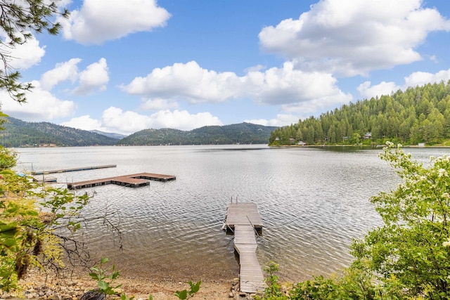 3994 N Cedar Bay Rd Unit 51, Loon Lake, WA 98148 - photo 6