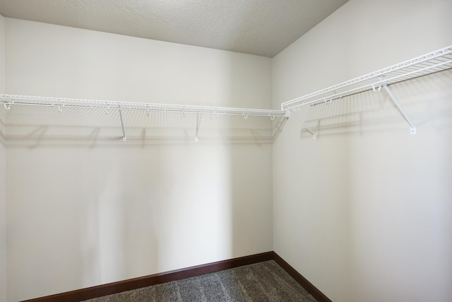 16319 E Whirlaway Ln, Veradale, WA 99037 - spacious closet with carpet flooring