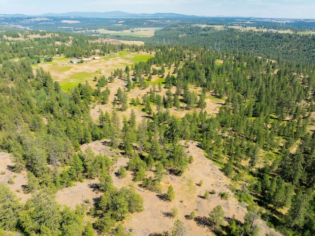 14933 Burnett Rd, Nine Mile Falls, WA 99026 - photo 1