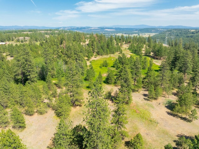 14933 Burnett Rd, Nine Mile Falls, WA 99026 - photo 2