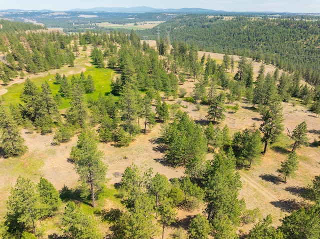 14933 Burnett Rd, Nine Mile Falls, WA 99026 - photo 14
