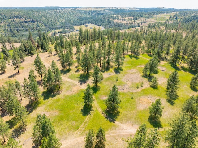14933 Burnett Rd, Nine Mile Falls, WA 99026 - photo 15