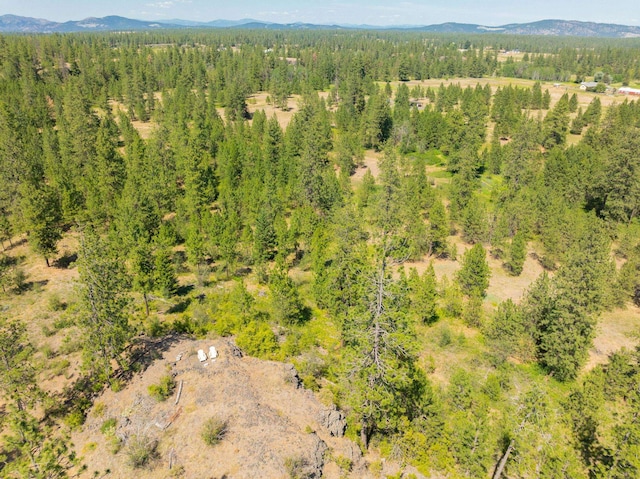 14933 Burnett Rd, Nine Mile Falls, WA 99026 - photo 16