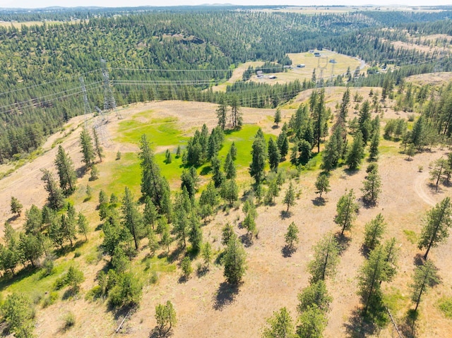 14933 Burnett Rd, Nine Mile Falls, WA 99026 - photo 17