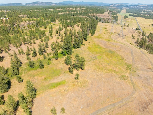 14933 Burnett Rd, Nine Mile Falls, WA 99026 - photo 18