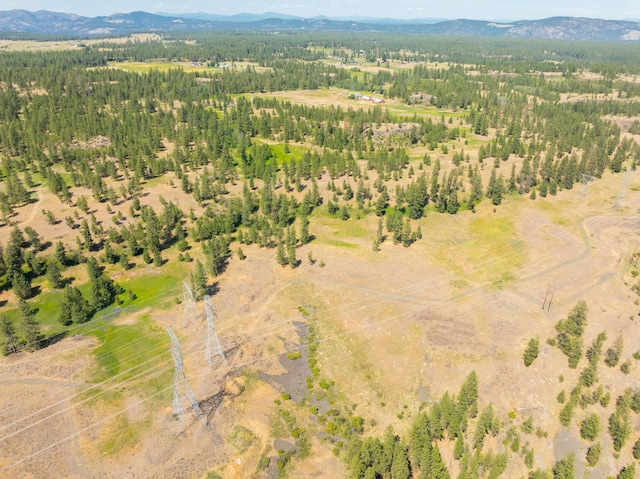 14933 Burnett Rd, Nine Mile Falls, WA 99026 - photo 19