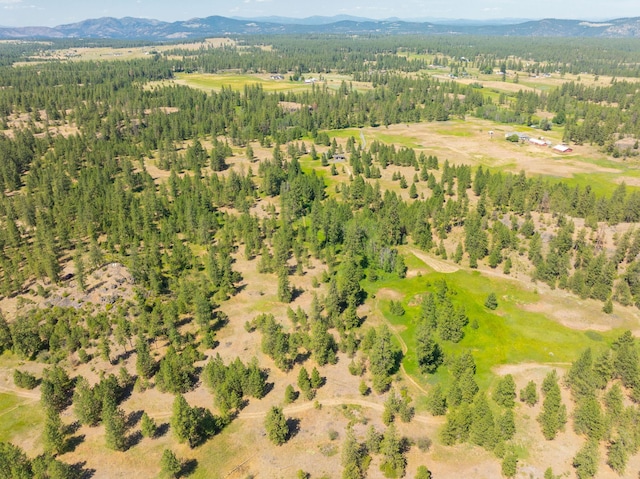 14933 Burnett Rd, Nine Mile Falls, WA 99026 - photo 20