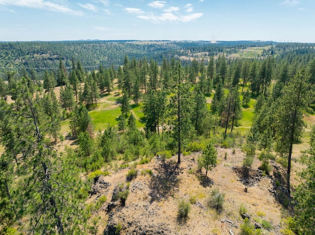 14933 Burnett Rd, Nine Mile Falls, WA 99026 - photo 3