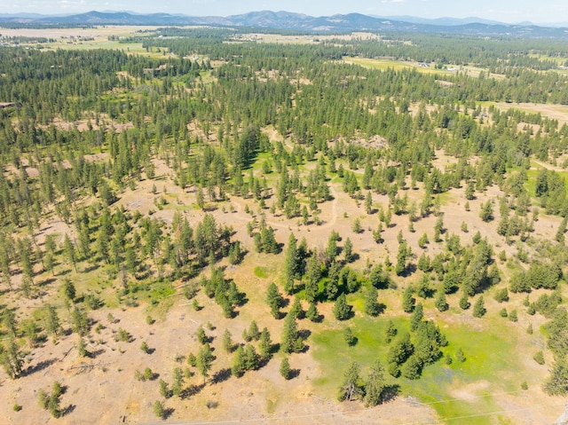 14933 Burnett Rd, Nine Mile Falls, WA 99026 - photo 22