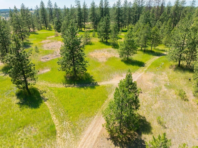 14933 Burnett Rd, Nine Mile Falls, WA 99026 - photo 24