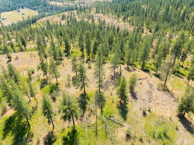 14933 Burnett Rd, Nine Mile Falls, WA 99026 - photo 25