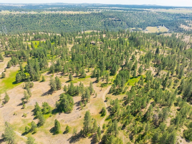 14933 Burnett Rd, Nine Mile Falls, WA 99026 - photo 28