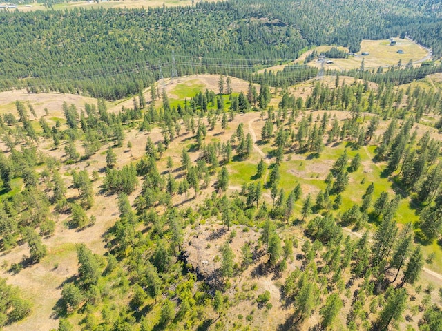 14933 Burnett Rd, Nine Mile Falls, WA 99026 - photo 29