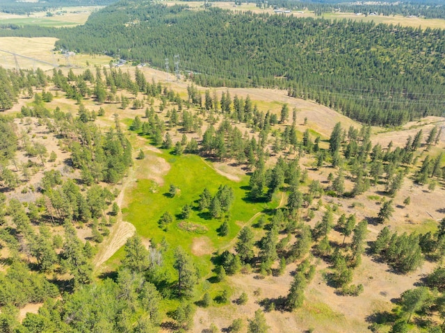 14933 Burnett Rd, Nine Mile Falls, WA 99026 - photo 30