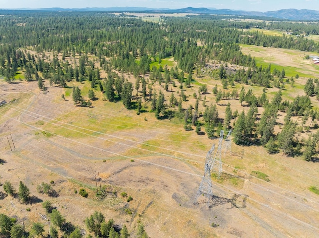 14933 Burnett Rd, Nine Mile Falls, WA 99026 - photo 31