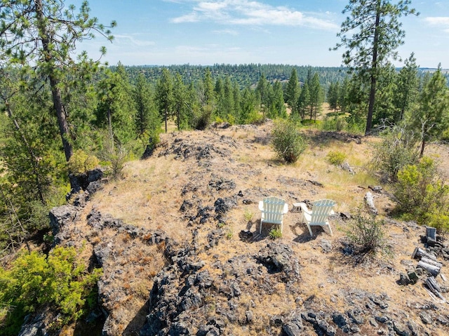 14933 Burnett Rd, Nine Mile Falls, WA 99026 - photo 33
