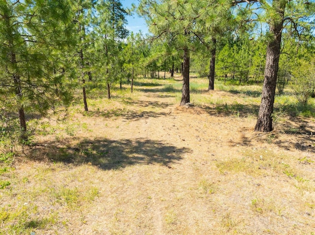 14933 Burnett Rd, Nine Mile Falls, WA 99026 - photo 34