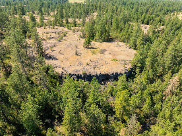 14933 Burnett Rd, Nine Mile Falls, WA 99026 - photo 35