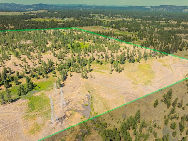 14933 Burnett Rd, Nine Mile Falls, WA 99026 - photo 38