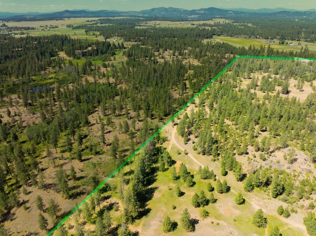 14933 Burnett Rd, Nine Mile Falls, WA 99026 - photo 40