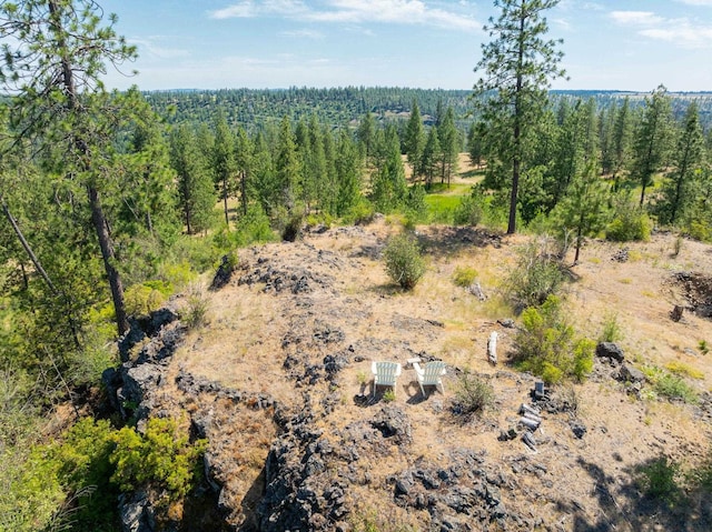 14933 Burnett Rd, Nine Mile Falls, WA 99026 - photo 5