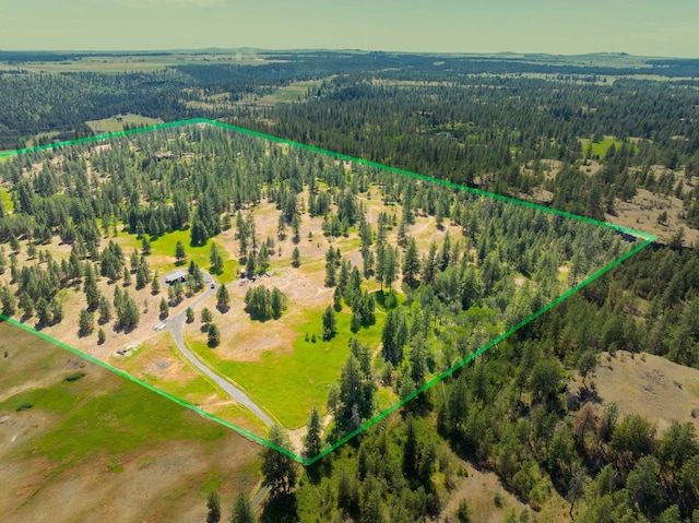 14933 Burnett Rd, Nine Mile Falls, WA 99026 - photo 43