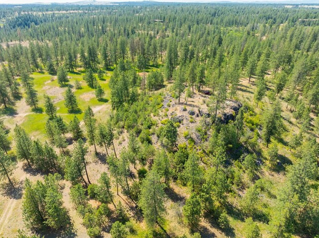 14933 Burnett Rd, Nine Mile Falls, WA 99026 - photo 6