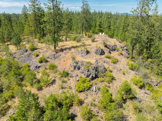 14933 Burnett Rd, Nine Mile Falls, WA 99026 - photo 7