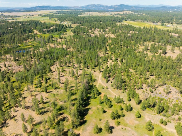 14933 Burnett Rd, Nine Mile Falls, WA 99026 - photo 8