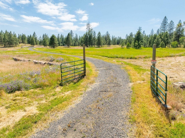 14933 Burnett Rd, Nine Mile Falls, WA 99026 - photo 10