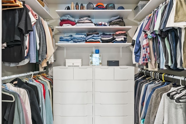 1225 E Paske Rd, Colbert, WA 99005 - view of walk in closet